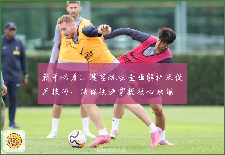 新手必看:澳客玩法全面解析及使用技巧,助你快速掌握核心功能