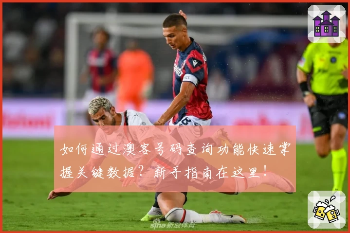 如何通过澳客号码查询功能快速掌握关键数据？新手指南在这里！